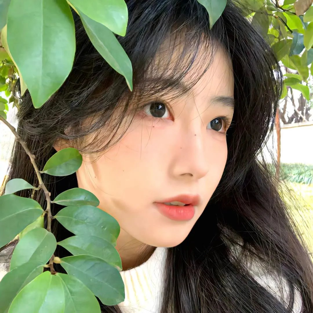 晨光正好
